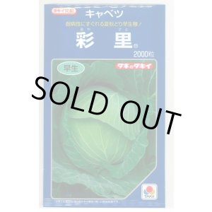 画像: [キャベツ] 彩里 2000粒 タキイ種苗(株)