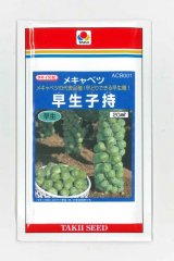 画像: 送料無料　[キャベツ]　芽キャベツ　早生子持　20ml　タキイ種苗(株)