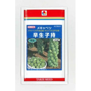 画像: [キャベツ]　芽キャベツ　早生子持　　20ml 　タキイ種苗（株）　