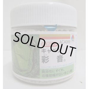 画像: [キャベツ]　　送料無料！　彩音 　5000粒 ペレット種子　タキイ種苗（株）