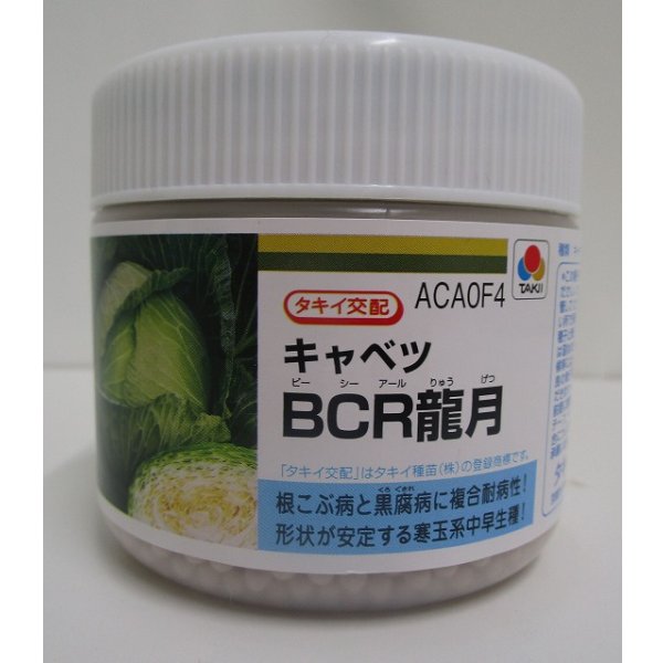 画像1: 送料無料　[キャベツ]　ＢＣＲ龍月　ペレット5000粒　タキイ種苗(株) (1)