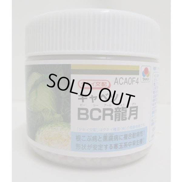 画像1: 送料無料　[キャベツ]　ＢＣＲ龍月　ペレット5000粒　タキイ種苗(株) (1)