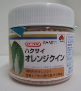 画像: 送料無料　[白菜]　オレンジクイン　ペレット　5000粒タキイ種苗(株)