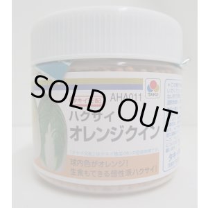 画像: 送料無料　[白菜]　オレンジクイン　ペレット　5000粒タキイ種苗(株)