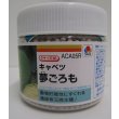 画像1: 送料無料　[キャベツ]　夢ごろも　ペレット5千粒　タキイ種苗(株) (1)