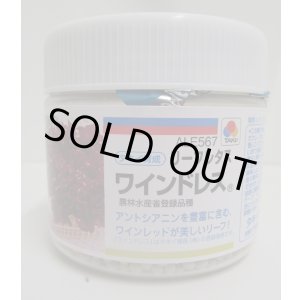 画像: 送料無料　[レタス]　リーフレタス　ワインドレス　ペレット5千粒　タキイ種苗(株)
