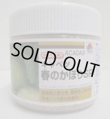画像: 送料無料　[キャベツ]　送料無料　春のかほりSP　ペレット5000粒　タキイ種苗(株)