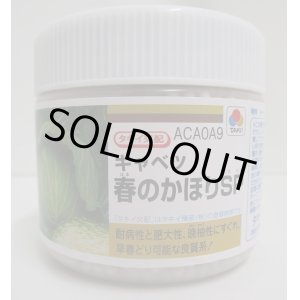 画像: [キャベツ]　送料無料　春のかほりSP  ペレット5000粒　　タキイ種苗（株）