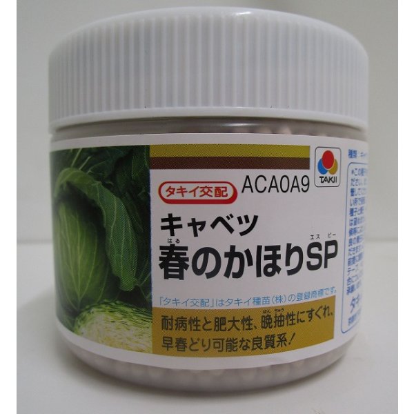 画像1: 送料無料 [キャベツ] 送料無料 春のかほりSP ペレット種子5000粒 タキイ種苗(株) (1)