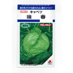 画像: 送料無料　キャベツ　味春　1.2ml(約160粒)　タキイ種苗(株)　DF