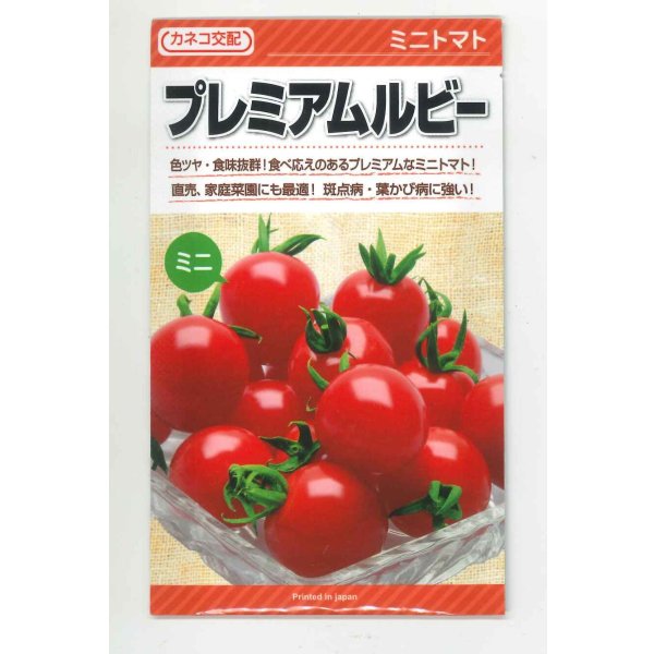 画像1: 送料無料　[トマト/ミニトマト]　プレミアムルビー　100粒　カネコ種苗（株） (1)