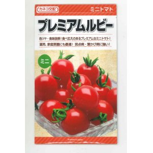 画像: [トマト/ミニトマト]　送料無料！　プレミアムルビー　1000粒　　カネコ交配　