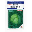 画像1: 野菜種　キャベツ　彩ひかり　1.2ml（約140粒）　タキイ種苗（株）　DF (1)