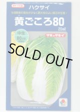 画像: [白菜]　黄ごころ80　20ｍｌ　タキイ種苗（株）　