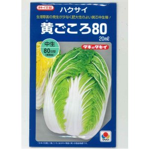 画像: 送料無料　[白菜]　黄ごころ80　20ml　タキイ種苗(株)