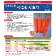 画像3: 送料無料　[人参]　べにもり五寸　20ml　渡辺農事（株） (3)