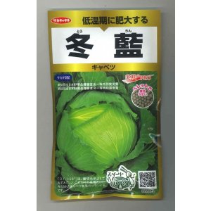 画像: 送料無料　[キャベツ]　冬藍　ペレット300粒　(株)サカタのタネ　実咲PRO