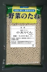 画像: [大根]　小太りくん　ペレット5000粒　雪印種苗(株)