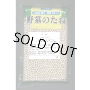 画像: [大根]　小太りくん　ペレット5000粒　雪印種苗(株)