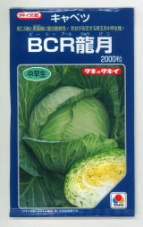 画像: 送料無料　[キャベツ]　ＢＣＲ龍月　2000粒　タキイ種苗(株)