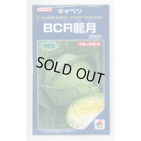 画像1: [キャベツ] ＢＣＲ龍月 2000粒 タキイ種苗(株) (1)