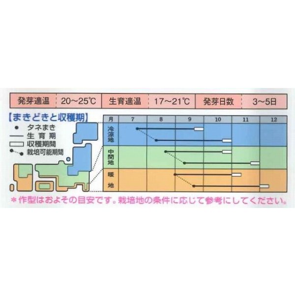 画像2: 送料無料　大根種　輝八州　14ml　タキイ種苗(株)　DF (2)