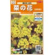 画像1: 花の種　菜の花　寒咲系混合　約118粒 　サカタのタネ（株）実咲200 (1)