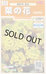 画像: 送料無料　花の種　菜の花　寒咲系混合　約120粒　(株)サカタのタネ　実咲200（026345）