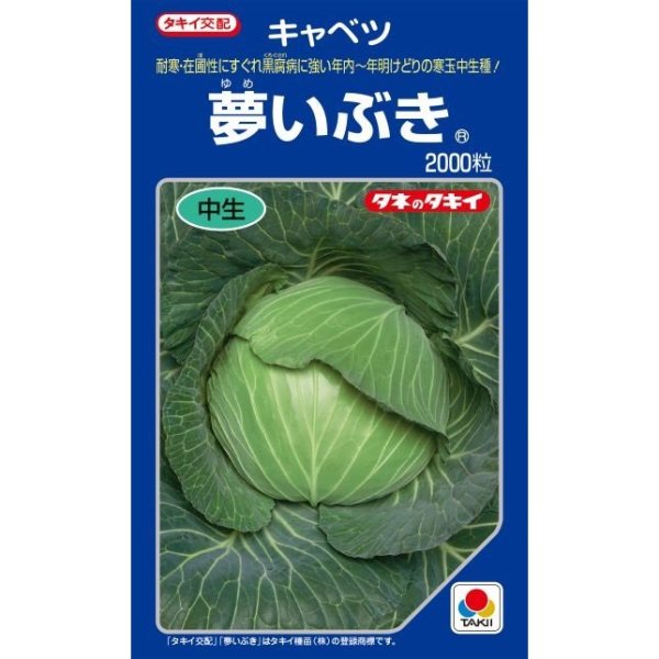 画像1: 送料無料　キャベツ　夢いぶき　2000粒　タキイ種苗(株) (1)