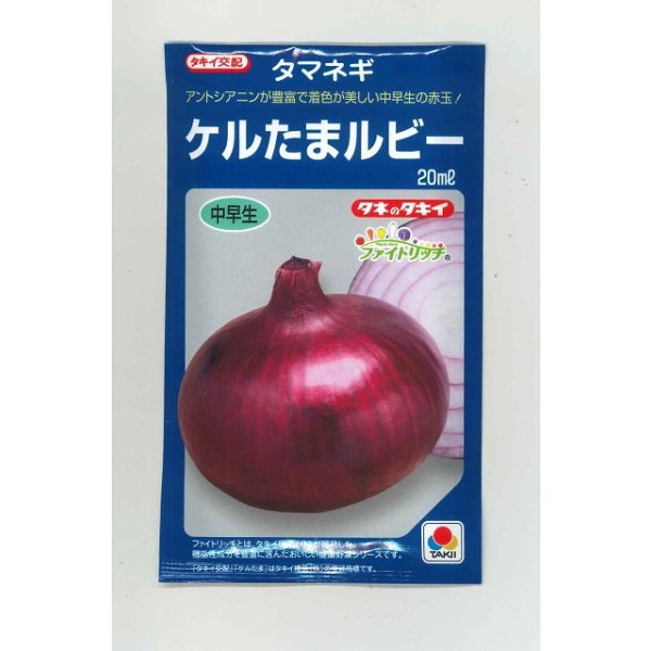 画像1: 送料無料　[たまねぎ]　ケルたまルビー　20ml　タキイ種苗(株) (1)
