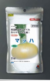 画像: 送料無料　[たまねぎ]　マッハ　2dl　タキイ種苗(株)
