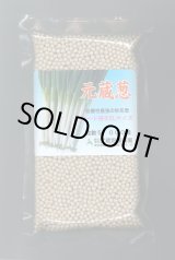 画像: 送料無料[ねぎ]　元蔵　コート5千粒　武蔵野種苗園