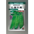 画像1: 送料無料　[えんどう]　キヌサヤエンドウ　仏国大莢　18ml　タキイ種苗(株)　GF (1)