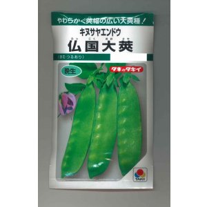 画像: 送料無料　[えんどう]　キヌサヤエンドウ　仏国大莢　18ml　タキイ種苗(株)　GF