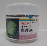 画像: 送料無料　[キャベツ]　星岬SP　ペレット　5000粒　タキイ種苗(株)
