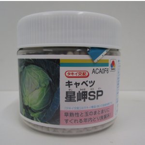 画像: 送料無料　[キャベツ]　星岬SP　ペレット　5000粒　タキイ種苗(株)