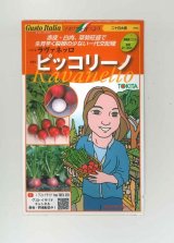 画像: [イタリア野菜]　ピッコリーノ　300粒　 トキタ種苗（株）