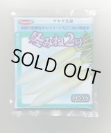 画像: 送料無料　大根　冬みね2号　8000粒　(株)サカタのタネ