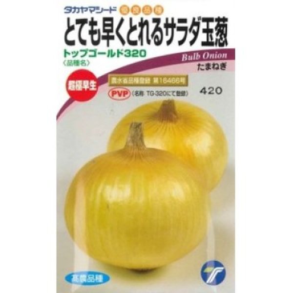 画像1: [たまねぎ] トップゴールド320 20ml (株)タカヤマシード (1)