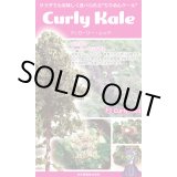 画像: 送料無料　ちりめんケール　カーリーレッド　コート種子30粒　松永種苗(株)