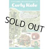 画像: 送料無料　ちりめんケール　カーリーグリーン　コート種子30粒　松永種苗(株)