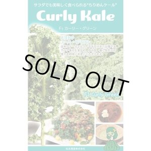 画像: 送料無料　ちりめんケール　カーリーグリーン　コート種子30粒　松永種苗(株)