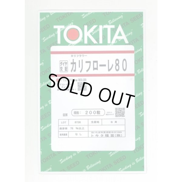 画像1: [イタリア野菜] カリフローレ80 200粒 トキタ種苗(株) (1)