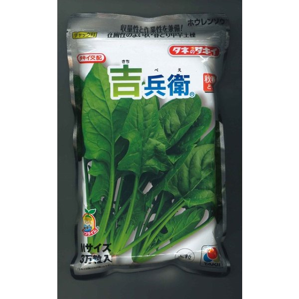 画像1: [ほうれんそう] 吉兵衛 3万粒(種子サイズ：Ｍ) タキイ種苗(株) (1)