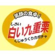 画像1: 送料無料！　青果シール　かぼちゃ　白い九重栗　1000枚　カネコ種苗 (1)