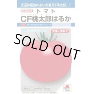画像: 送料無料　[トマト/桃太郎系]　ＣＦ桃太郎はるか　16粒　タキイ種苗(株)　DF