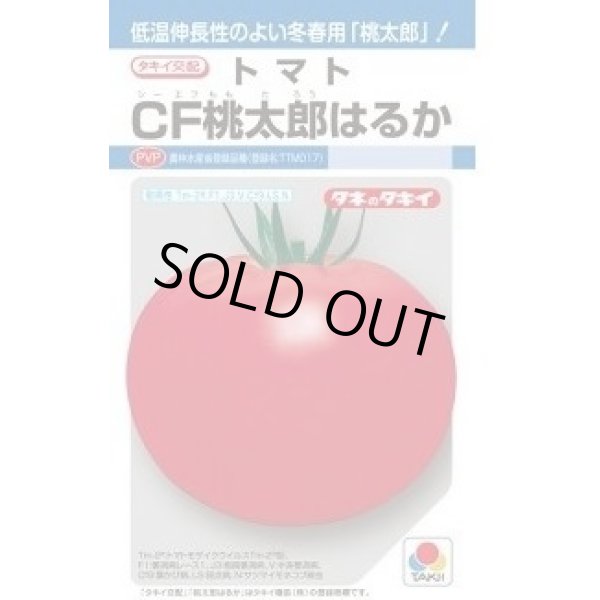 画像1: 送料無料　[トマト/桃太郎系]　ＣＦ桃太郎はるか　16粒　タキイ種苗(株)　DF (1)