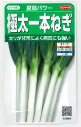 画像: [ねぎ]　夏扇パワー　3ml（粒数目安およそ500粒）　（株）サカタのタネ（実咲）　