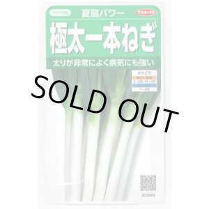 画像: 送料無料　[ねぎ]　夏扇パワー　3ml(粒数目安およそ500粒)　(株)サカタのタネ　実咲450（101526）