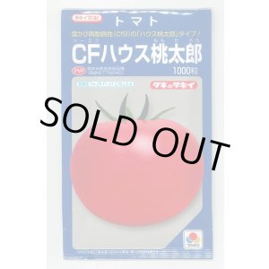 画像: 送料無料　[トマト/桃太郎系]　CFハウス桃太郎　1000粒　タキイ種苗（株）